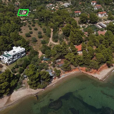 Dimitra's In Forest And Sea *