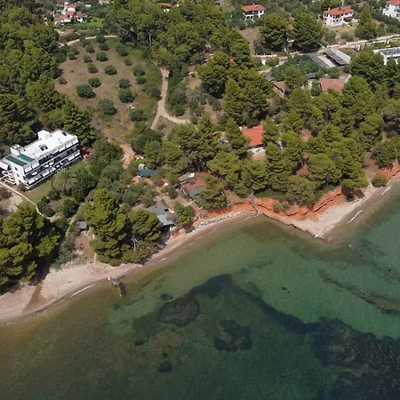 Dimitra's In Forest And Sea * Metamorfosi (Sithonia)