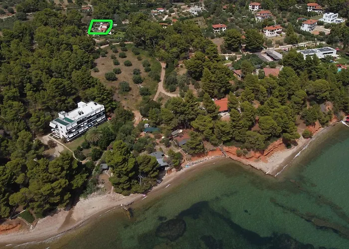 Dimitra's In Forest And Sea *