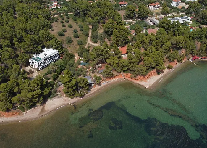 Dimitra's In Forest And Sea * Metamorfosi (Sithonia)